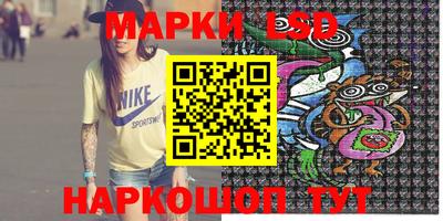 стаф Краснодар