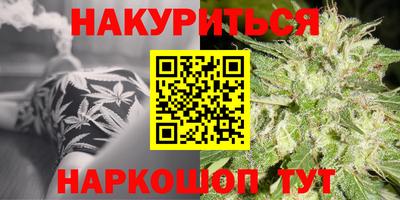 стаф Краснодар