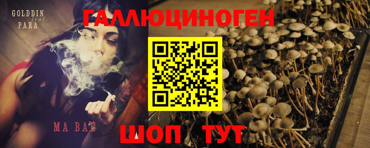 Галлюциногенные грибы Magic Shrooms  Вход с VPN  Елабуга 