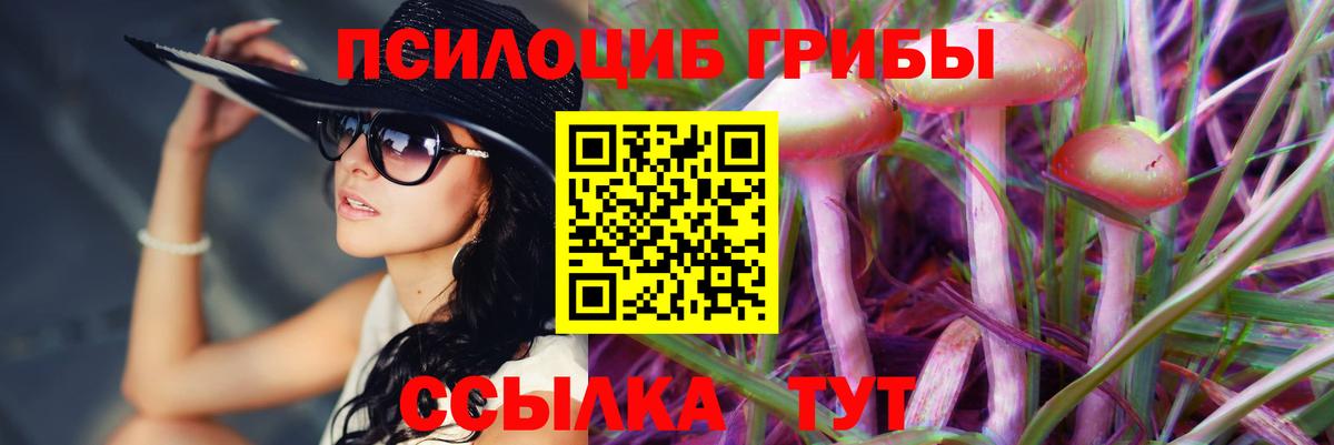 Псилоцибиновые грибы Magic Shrooms Елабуга